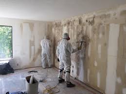 Best Emergency Mold Remediation  in Crow Agency, MT